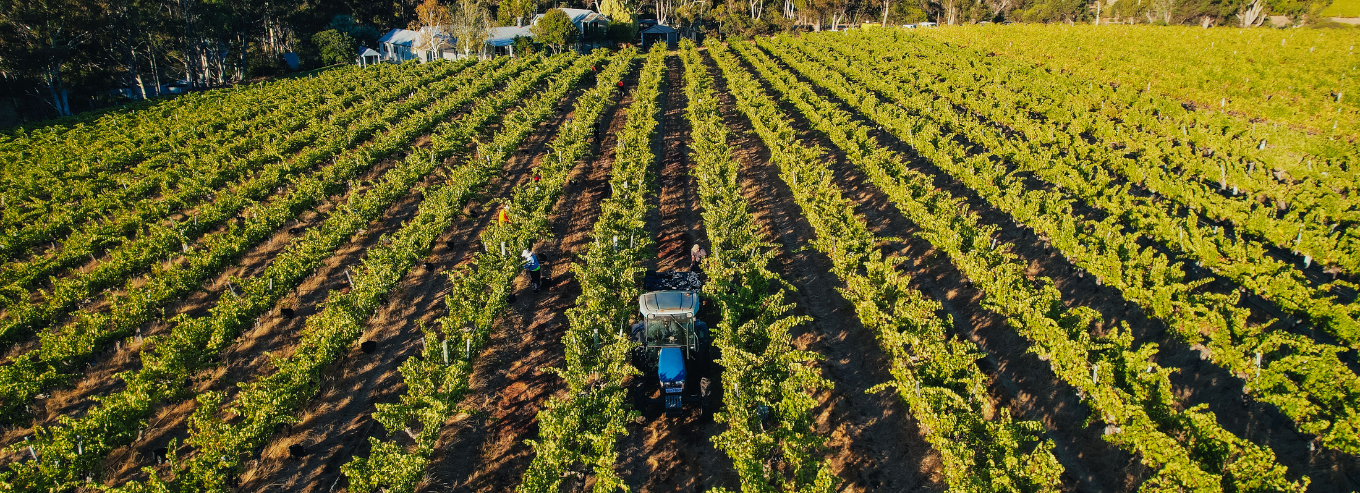 Tractor at Fermoy Estate vineyard